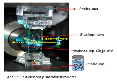 durchflusszytometer abbildung1