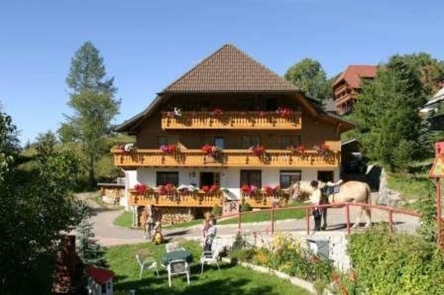 Ferienwohnung Brender-Bühlhof in Todtnauberg