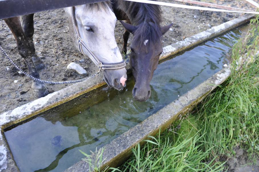 Wasser, das mehr kann – Belebtes Wasser