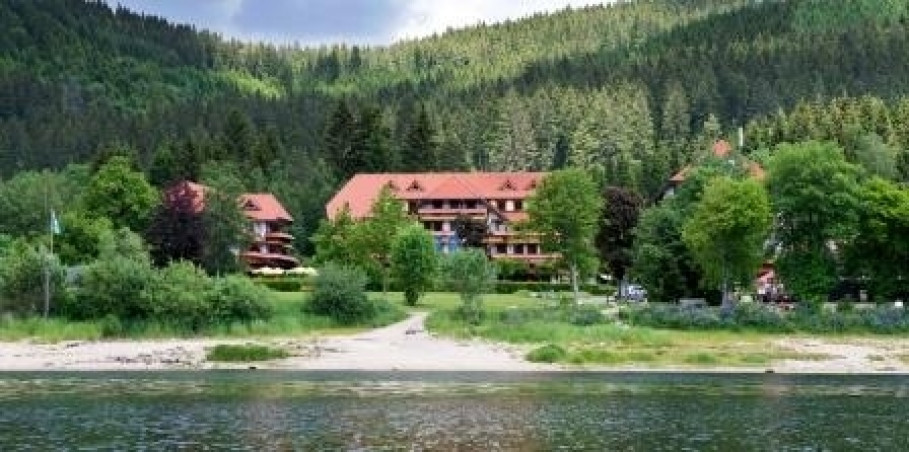 Wellnesshotel Auerhahn am Schluchsee