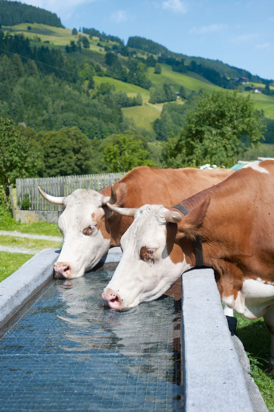 Vitalität &amp; Wohlbefinden | Gewerbe / Industrie / Landwirtschaft