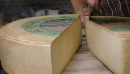 Naturkäserei Tegernseer Land – Das Beste aus der Milch