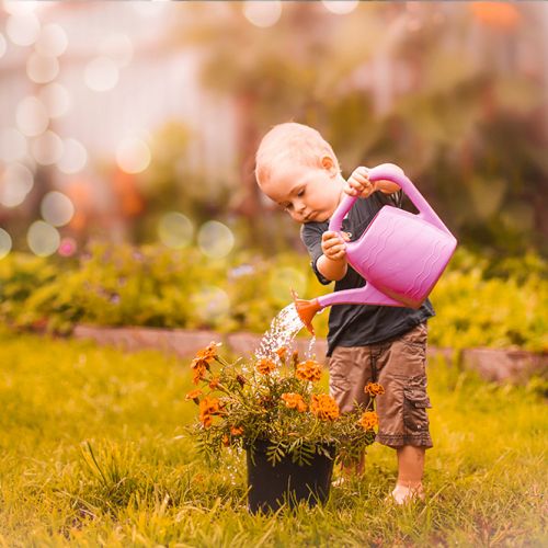 para sus plantas